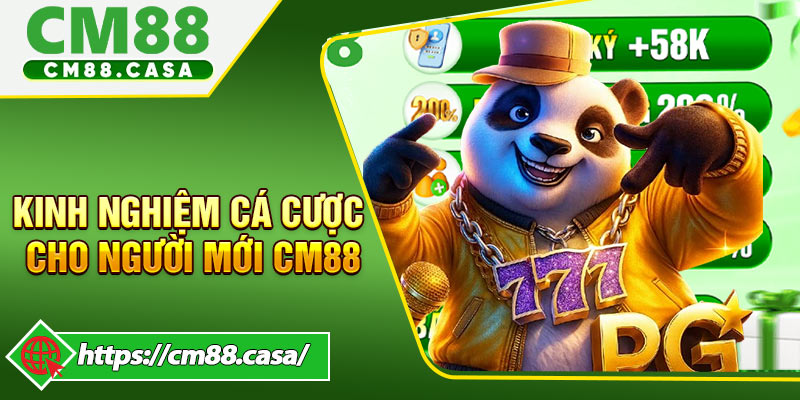 Bật Mí Kinh Nghiệm Cá Cược Cho Người Mới Tại CM88